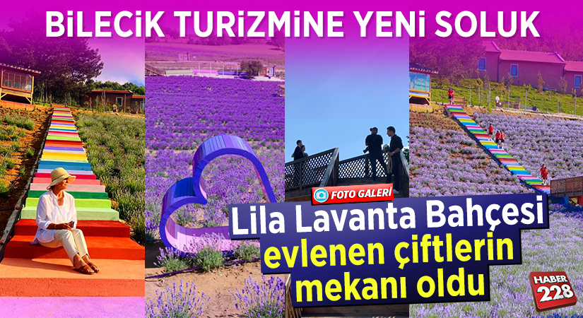 bilecik8217te-evlenen-ciftlerin-mekani-lila-lavanta-bahcesi.png