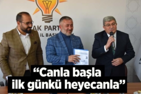 11 haber