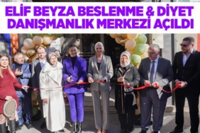 tır11