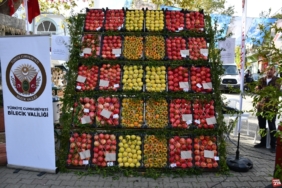 11haber-108810610-ayva-si-var-nar-i-var-hurma-si-var-0.jpg