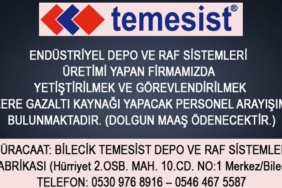 TEME