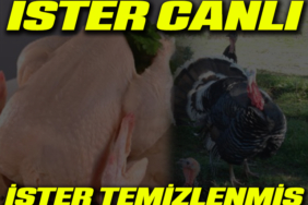 canlııııı