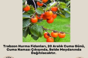 11haber-691667-belediye-bedava-dagitacak-0.jpg