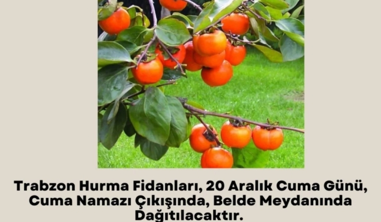 11haber-691667-belediye-bedava-dagitacak-0.jpg