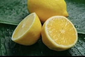 11haber-185277-limon-hakkinda-altin-degerinde-faydali-bilgiler-0.jpg