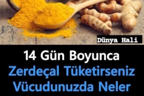 11haber-193874-zerdacal-in-insan-vucuduna-etkileri-0.jpg