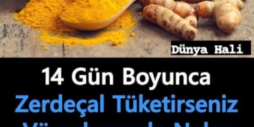 11haber-193874-zerdacal-in-insan-vucuduna-etkileri-0.jpg