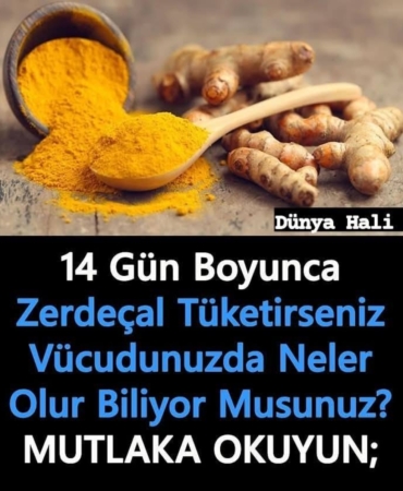 11haber-193874-zerdacal-in-insan-vucuduna-etkileri-0.jpg