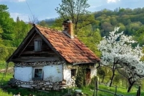 11haber-25710210-bir-ciftciden-tavsiye-0.jpg