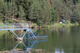 11haber-3610731-yanki-0.jpg