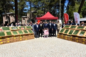 11haber-739549-142-bin-500-fide-dagitildi-2.jpg