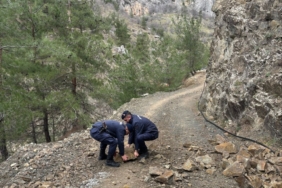 11haber-10109665-bilecik-jandarma-heryerde-0.jpg