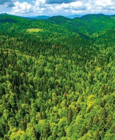 11haber-59511010-turkiye-nin-yesil-kentleri-0.jpg