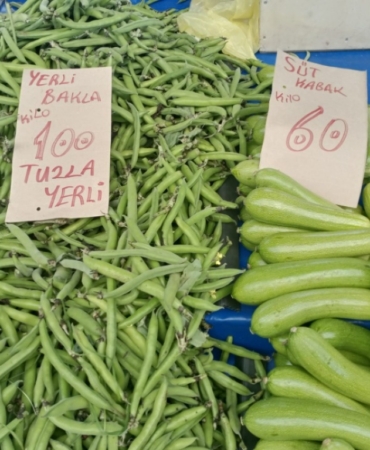 11haber-273648-bilecik-pazarlarinda-taze-bakla-tezgaha-dustu-0.jpg