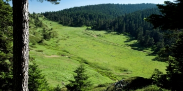 11haber-292453-bekleyecek-turkiye-nin-en-yesil-kentleri-aciklandi-sadece-14-il-siniri-gecebildi-0.jpg