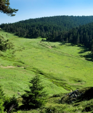 11haber-292453-bekleyecek-turkiye-nin-en-yesil-kentleri-aciklandi-sadece-14-il-siniri-gecebildi-0.jpg