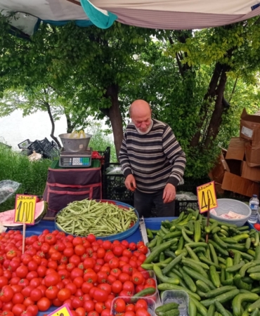 11haber-776825-bilecik-te-cok-fena-dustu-1.jpg