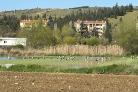 11haber-971915-yaren-in-akrabalari-bilecik-i-cok-sevdi-0.jpg