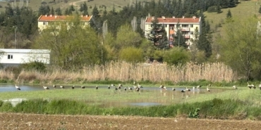 11haber-971915-yaren-in-akrabalari-bilecik-i-cok-sevdi-0.jpg