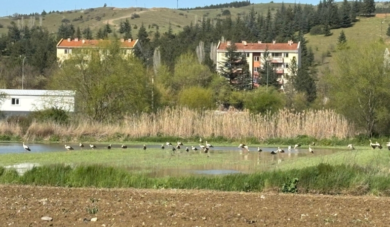 11haber-971915-yaren-in-akrabalari-bilecik-i-cok-sevdi-0.jpg