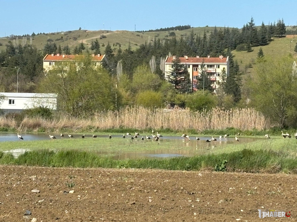 11haber-971915-yaren-in-akrabalari-bilecik-i-cok-sevdi-0.jpg