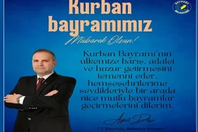 aykutdilsiz