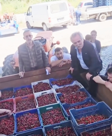 11haber-285136-bilecik-te-kiraz-piyasasi-acildi-0.jpg