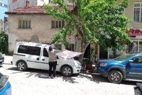 11haber-311124-bilecik-te-dut-bereketi-0.jpg
