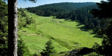11haber-633555-yesil-vatani-korumak-hepimizin-gorevi-2.jpg