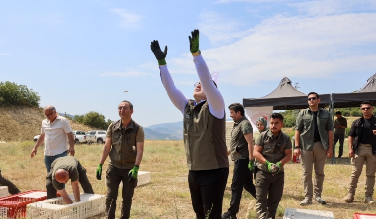 KINALI KEKLİKLER DOĞA İLE BULUŞTU