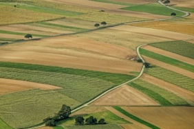 11haber-3431056-mudurluk-acikladi-sure-uzatildi-0.jpg
