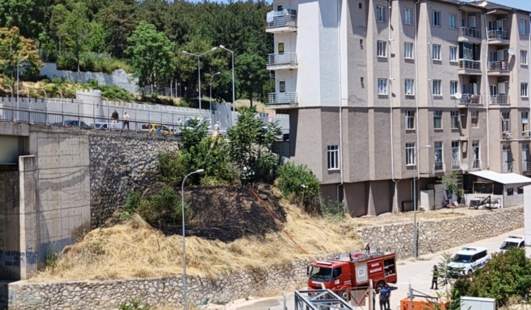 HAMSU KÖPRÜSÜNDE KARKU DOLU ANLAR!