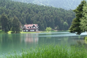 11haber-8291097-komsumuz-yesiliyle-zirvede-0.jpg