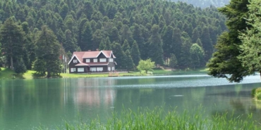 11haber-8291097-komsumuz-yesiliyle-zirvede-0.jpg