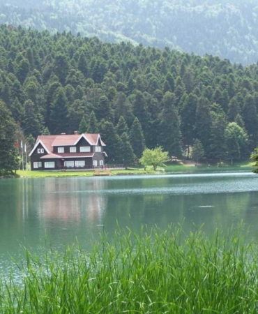 11haber-8291097-komsumuz-yesiliyle-zirvede-0.jpg