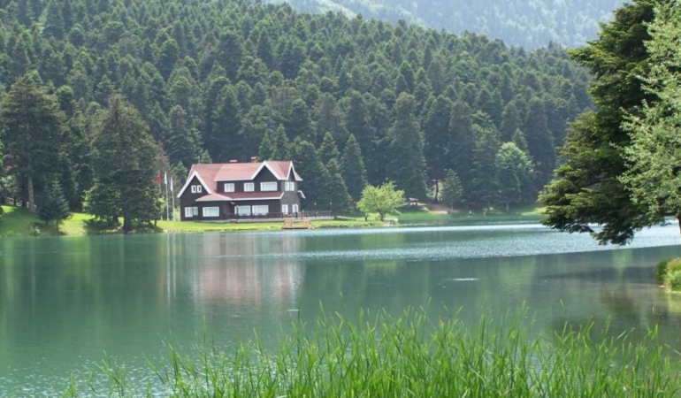 KOMŞUMUZ YEŞİLİYLE ZİRVEDE