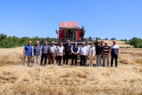 11haber-9104799-bilecik-te-bugday-hasadi-basladi-0.jpg