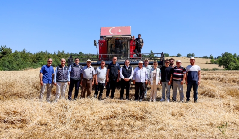 BİLECİK’TE BUĞDAY HASADI BAŞLADI