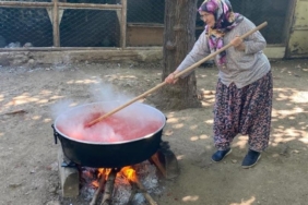 11haber-1055535-sonbahar-geldi-bilecik-te-kis-tel-si-basladi-5.jpg