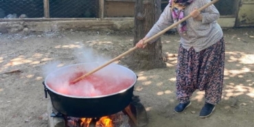 11haber-1055535-sonbahar-geldi-bilecik-te-kis-tel-si-basladi-5.jpg