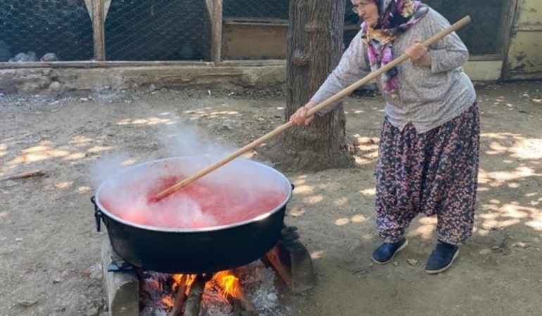 11haber-1055535-sonbahar-geldi-bilecik-te-kis-tel-si-basladi-5.jpg