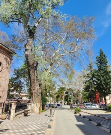 11haber-3746105-ihalesi-yapilacak-1.jpg