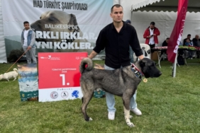 11haber-526746-zindan-turkiye-birincisi-oldu-0.jpg