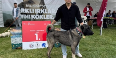 11haber-526746-zindan-turkiye-birincisi-oldu-0.jpg