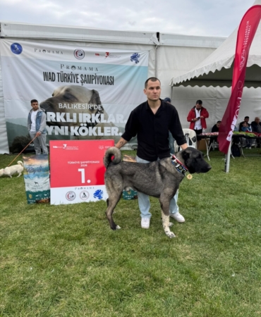 11haber-526746-zindan-turkiye-birincisi-oldu-0.jpg