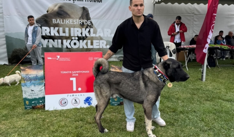 11haber-526746-zindan-turkiye-birincisi-oldu-0.jpg