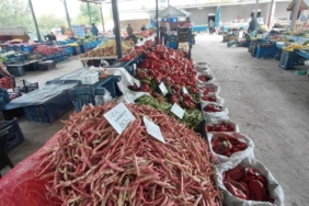 11haber-743143-bilecik-te-yerli-barbunya-cikti-0.jpg