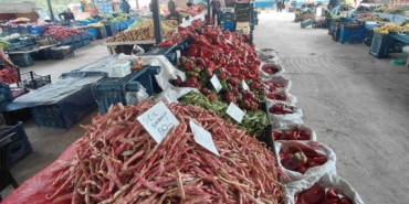 11haber-743143-bilecik-te-yerli-barbunya-cikti-0.jpg