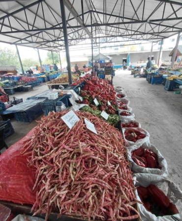 11haber-743143-bilecik-te-yerli-barbunya-cikti-0.jpg