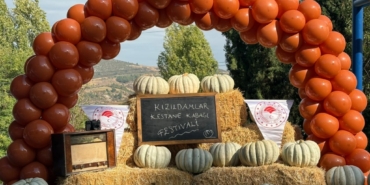 11haber-10575102-bilecik-in-meshur-kabagi-cikti-0.jpg